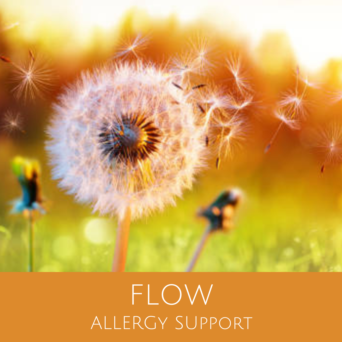 Sound healing frequencies to support the immune system and natural allergy relief.