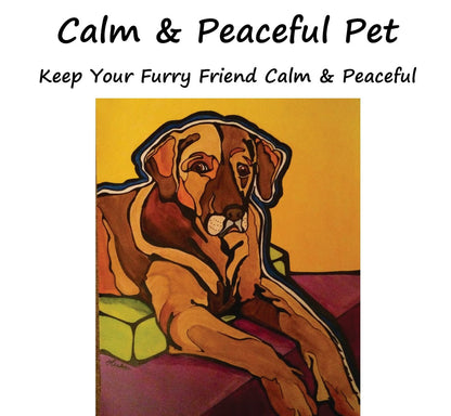 Soothing sound frequencies to reduce pet anxiety and promote a calm environment.