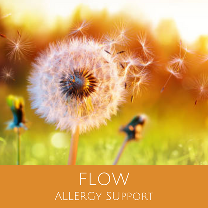 Flow for Allergy Support