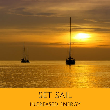 Binaural beats for deep relaxation, increased energy, and emotional balance.